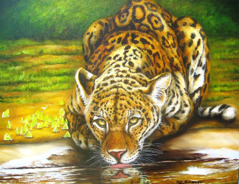 Animais lindos, Animais, Onça pintada