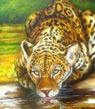 kity-mendonca-exuberanta-onca-pintada-50x70cm