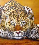 kity-mendonca-vida-longa-a-nossa-onca-pintada-60x80cm